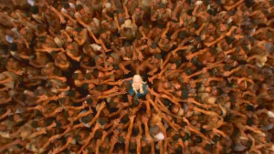 got_mhysa