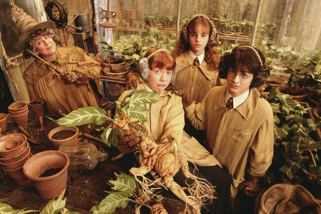 harry potter magic plants