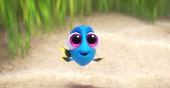 Dory-2